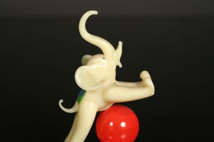 slon | elefant